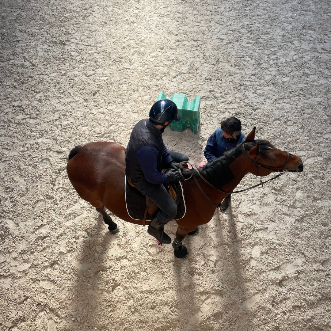 Centre équestre haut de seine