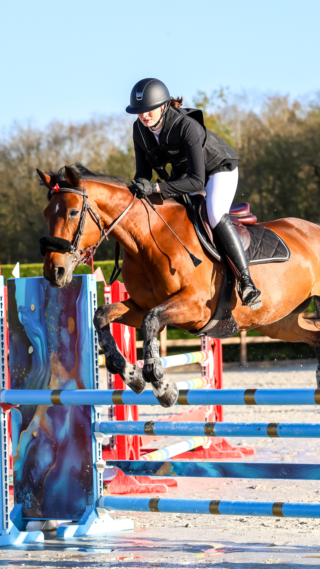 Centre équestre ile de france