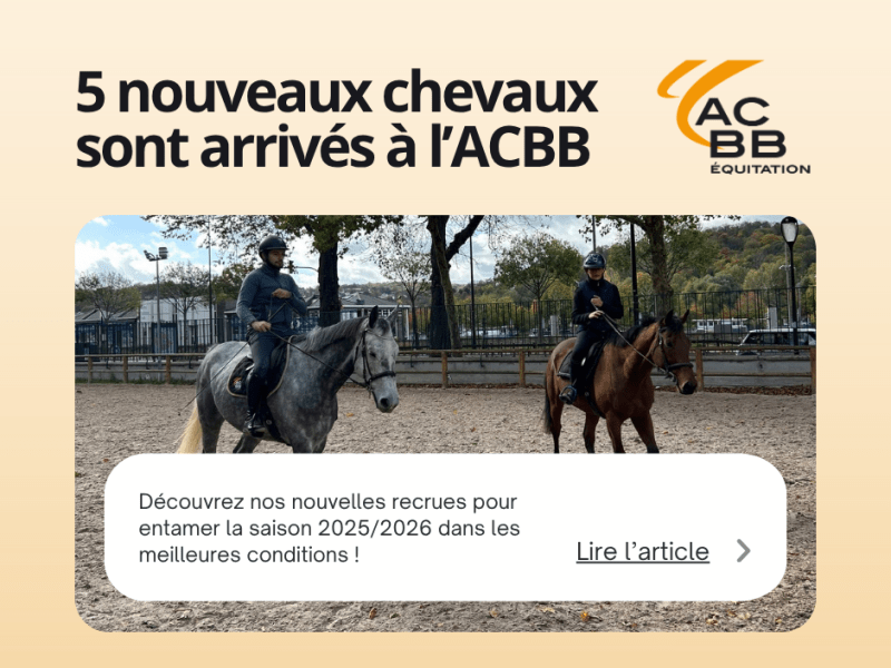 Cinq nouveaux chevaux rejoignent la cavalerie de l’ACBB Équitation&nbsp;!