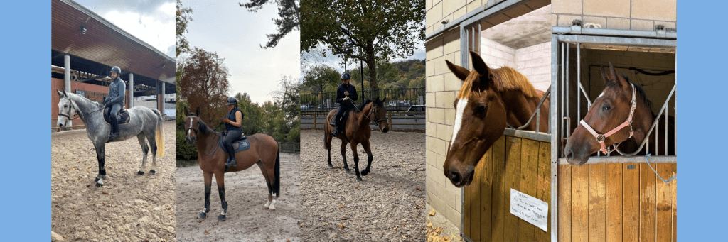 Centre equestre paris