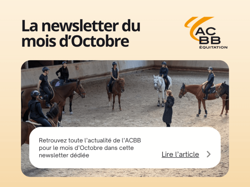 La newsletter du mois d&rsquo;Octobre est&nbsp;disponible