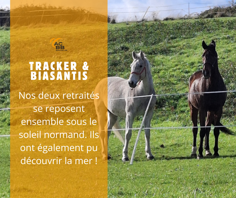 Tracker et biasantis
