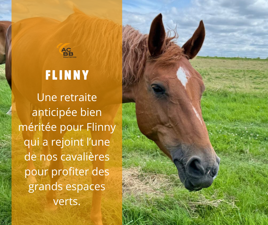 Flinny