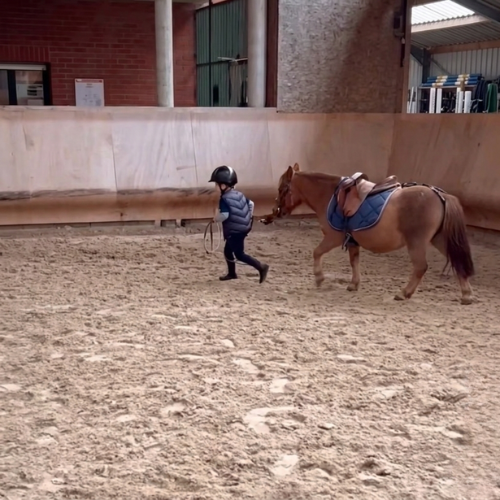 poney boulogne billancourt